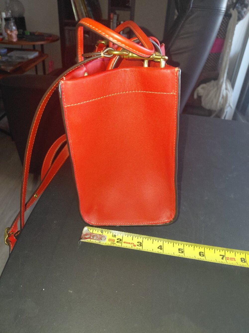 Coach 2023 Fire Island Pride Edition Cherry's tote - Picture 6 of 8